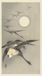 満月のガチョウ