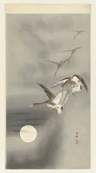 飛行中のガチョウ