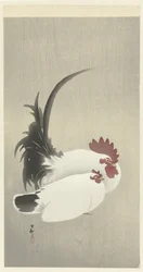 おんどりとめんどり