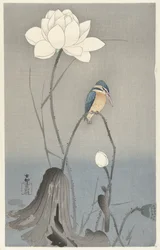 蓮の花を持つカワセミ
