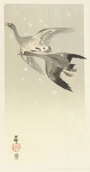 雪の中を飛ぶマガン