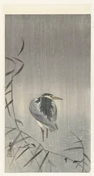 雨が降る