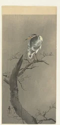 枝にいんちき