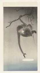 月の反射に手を伸ばす猿