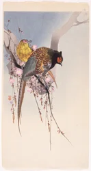 キジとハンギング チェリー (カラー木版画)