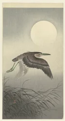 満月の鷺