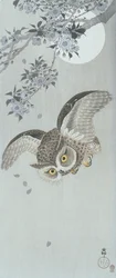 飛翔するフクロウと花と満月（カラー木版画