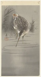 水で切る