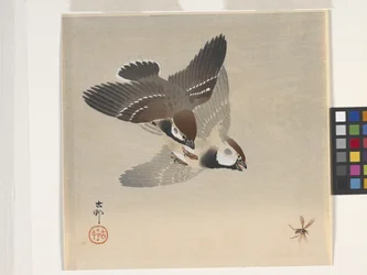 飛んでいる昆虫を追いかけるスズメ（カラー木版画）