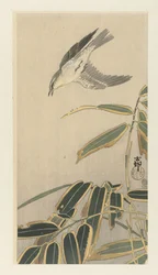 竹の近くのウィートイヤー