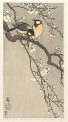 桜の枝のおっぱい