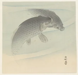 2匹の鯉