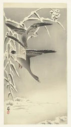 雪景色の中の 2 つのマガン