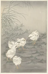 5羽のひよこ
