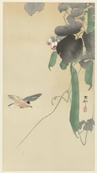 開花豆植物の鳥