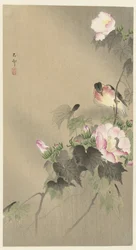 鳥と毛虫
