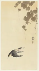 下降飛行中の鳥