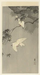 雨の中の鳥