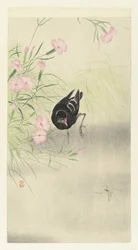 花咲く植物のそばのバン