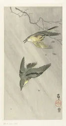 雨の鳴き鳥