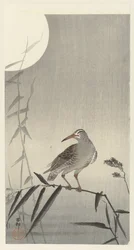 竹の枝に乗る黒い騎手