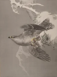 小鳥を抱く鷹、約。 1891-92。