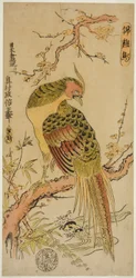 金雉（金鶏町）