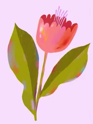 鮮やかなピンクの花