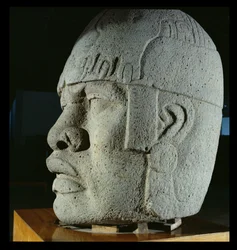 メキシコ、ベラクルス、サンロレンツォ出身の巨像4、古典派（玄武岩）