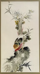 キジ 水彩 大西惠斎家
