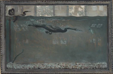 潜水鵜、1900年。