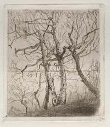 湖の森、1878年。