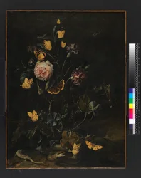 花、昆虫、爬虫類、1673
