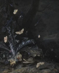 アザミと蛇のある静物