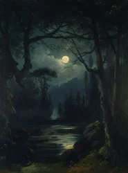 月夜の森の風景