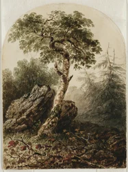 白樺の木のある風景、1859年（鉛筆の痕跡と、おそらくクリーム色の織り紙にガッシュのタッチが入ったトイレ）