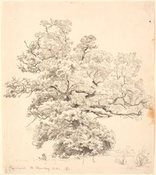 大きな樫の木の下に絵を描く人が座っています。