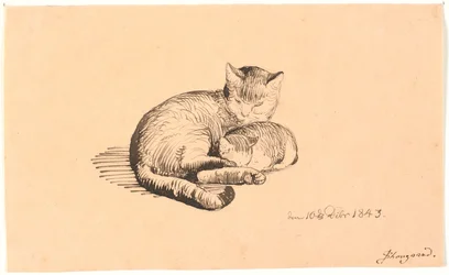 彼女の子猫と横になっている猫。