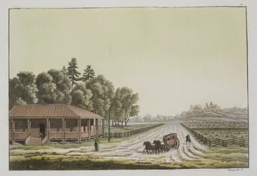 ワシントン州キャピトルヒルのビュー（色の彫刻）