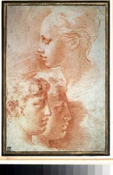 「Etude de tetes」（頭の習作）。 若い女の子と男の子の顔の輪郭。 Girolamo Francesco Maria Mazzola または Mazzuoli dit il Parmigianino (パルメザン チーズ) による描画