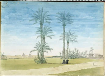 エジプト: “”ギゼのピラミッド (ギゼ、ギゼ、ギザ) パスカル・コステ (1787-1879) による描画 地中海考古学博物館、マルセイユ
