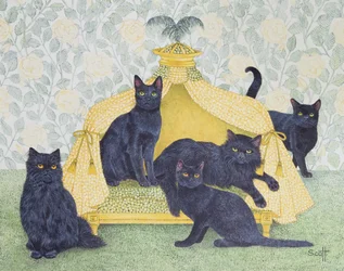 ブラック・ベルベット