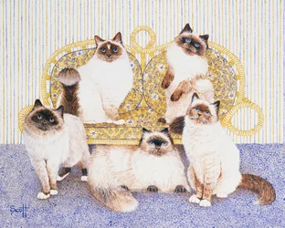 チョコレート・クリーム