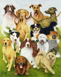 ドッグ・デイズ（キャンバスに油彩）