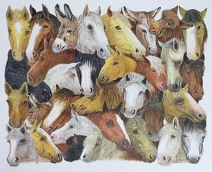 馬 馬（油彩・キャンバス）