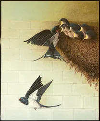 Hungry Mouths, 2011（アクリル、キャラコ）