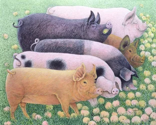 純粋な喜び（アクリル、キャラコ）