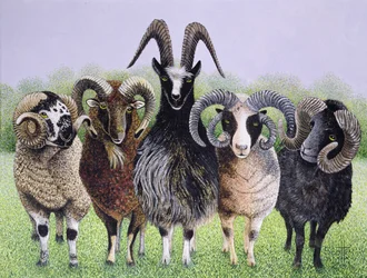 Ramifications （アクリル、キャラコ）