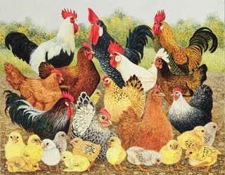 サムシング・トゥ・クロウ・アバウト（アクリル、キャラコ）