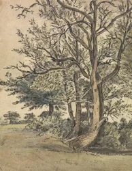 Part of Regent